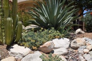 The Garden Gate - Landscape Design at an Affordable Price - Tucson's ...